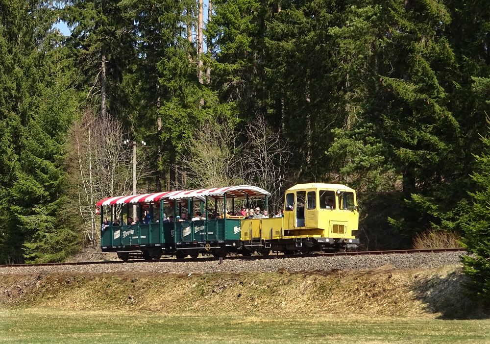 Wernesgruener Schienen-Express