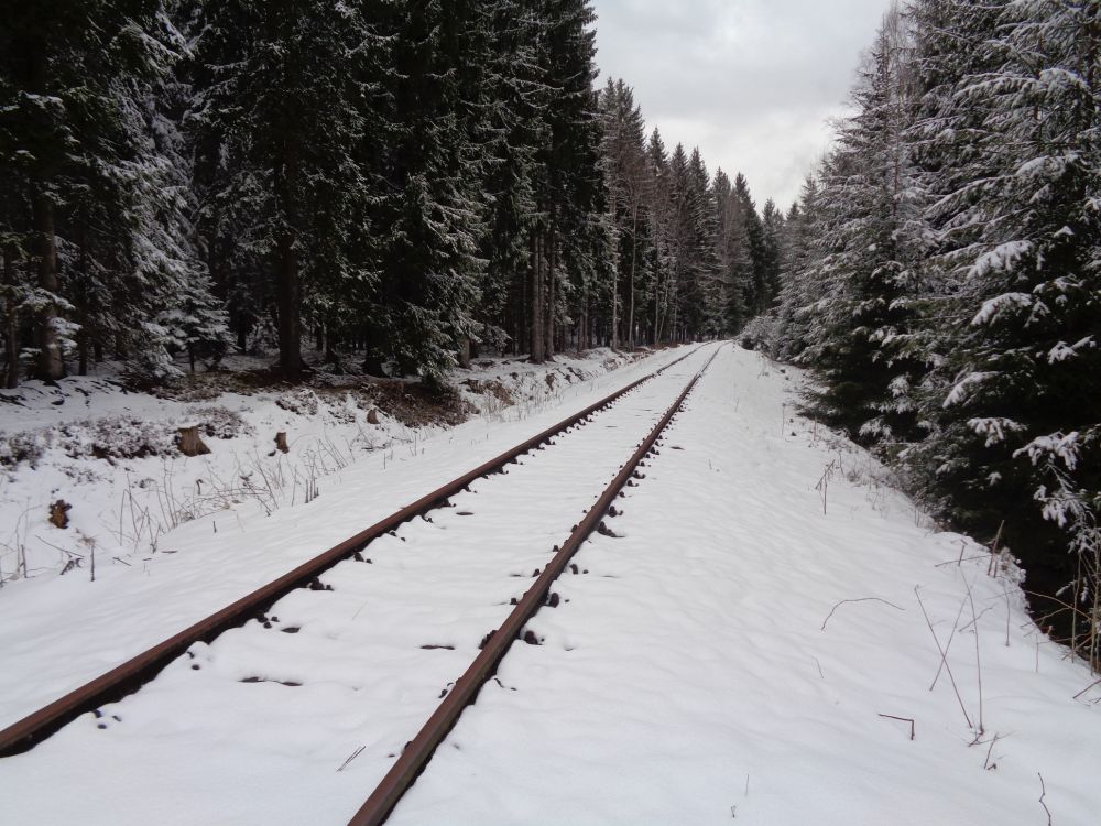 Wagentransport Gbs + Oppeln von Koenigshain-Hochstein nach Hammerbruecke